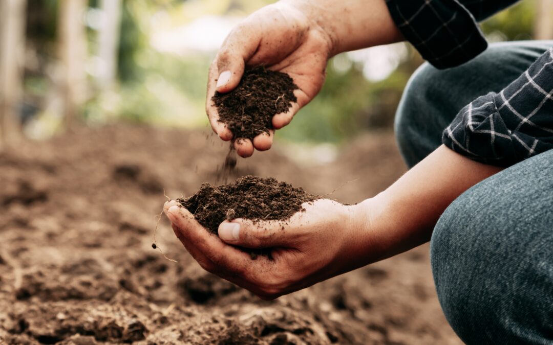 The Importance of Soil Testing Before Construction in India